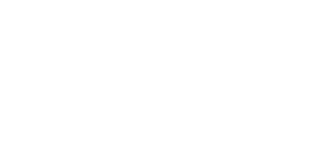 Boehringer Ingelheim Logo